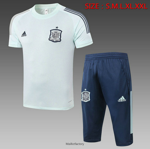 Achat Kit d'entrainement Maillot Espagne 3/4 2020/21 Vert clair